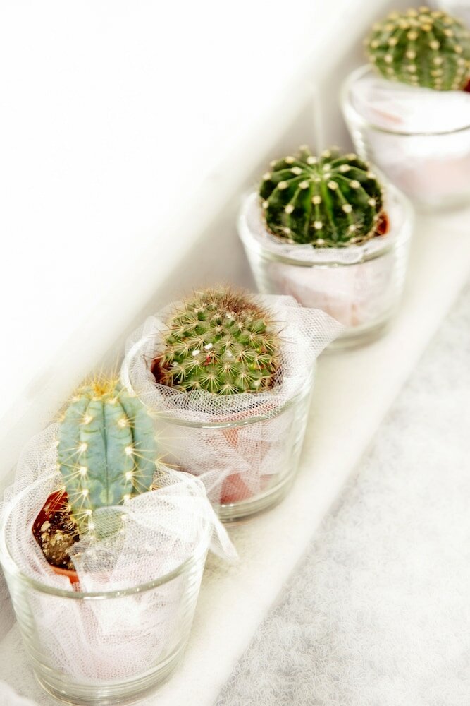 Фото Hotel Cervetta 5