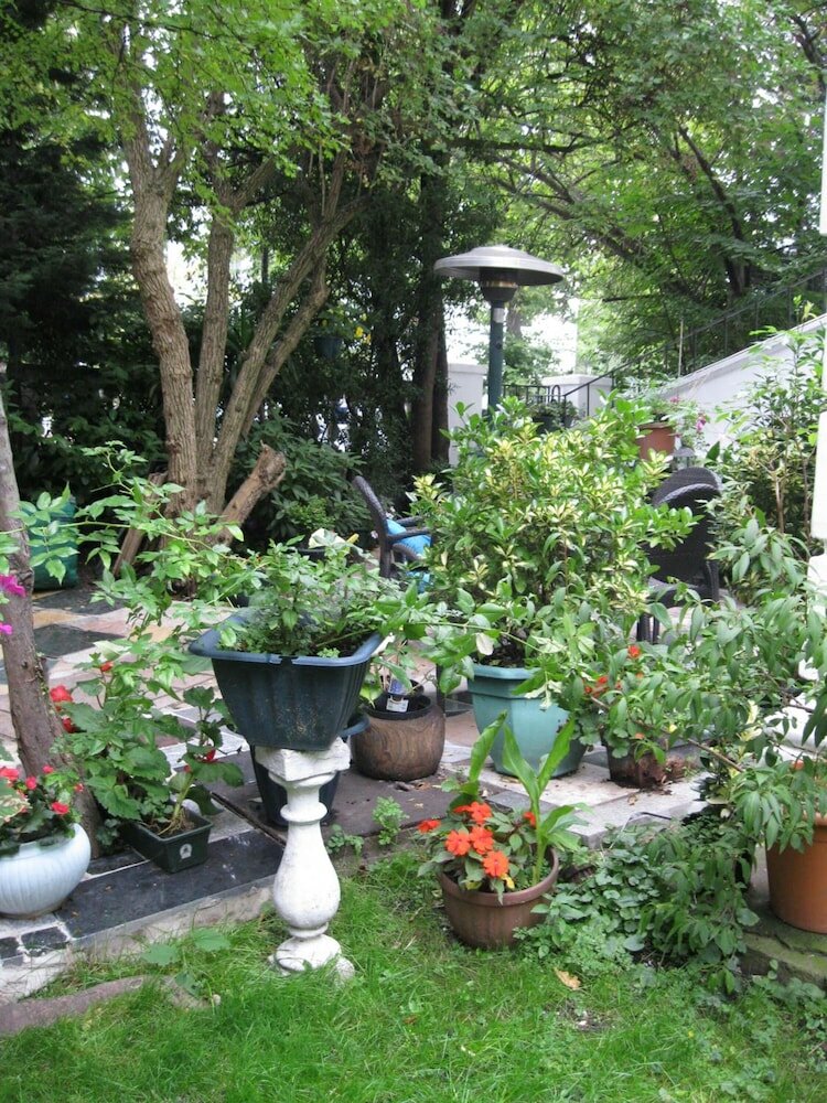 Фото Juliette's Bed and Breakfast