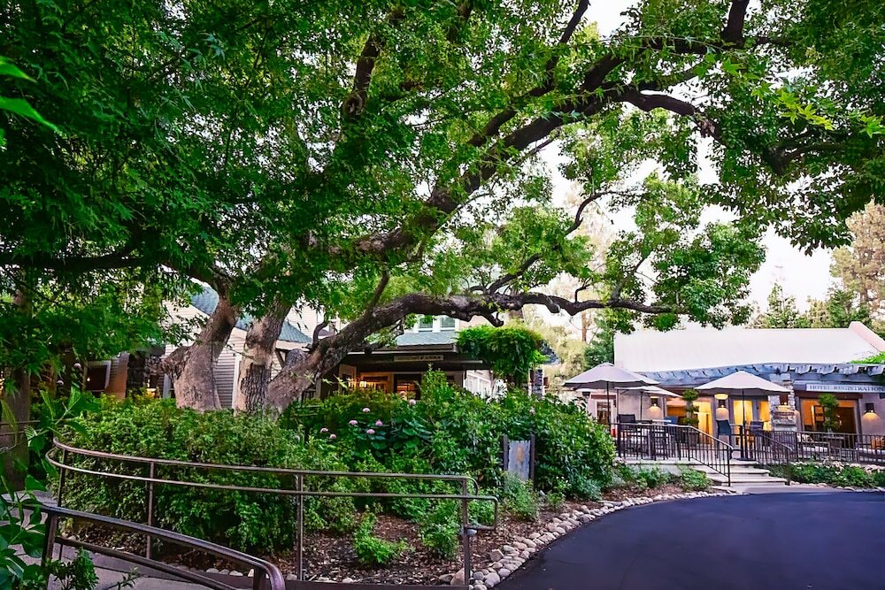 Фото Wine & Roses Hotel Restaurant SPA