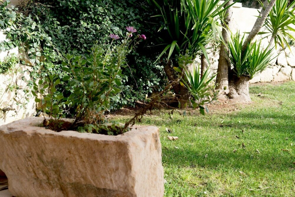 Фото Hotel Salento