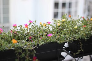 Гостиница B The Guest Downtown