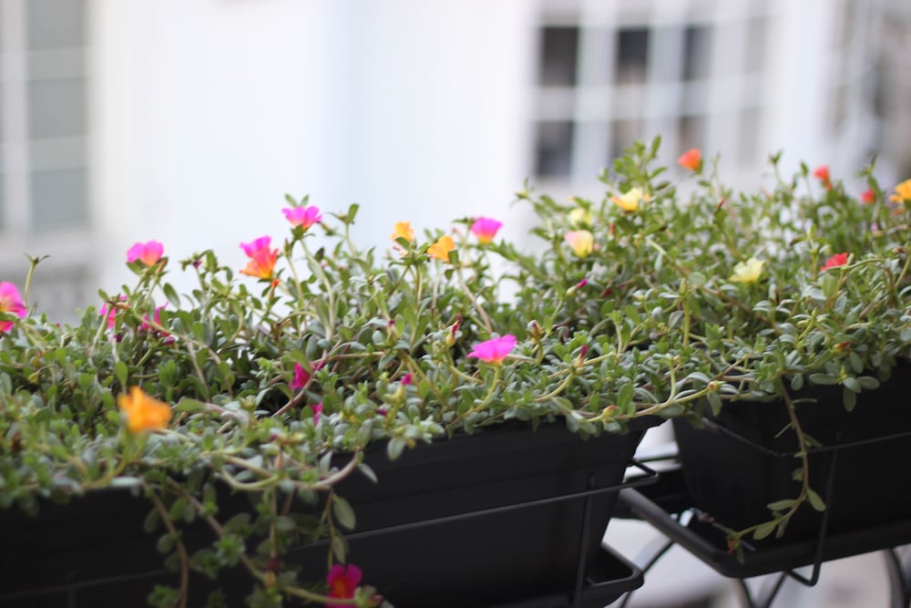 Фото B The Guest Downtown