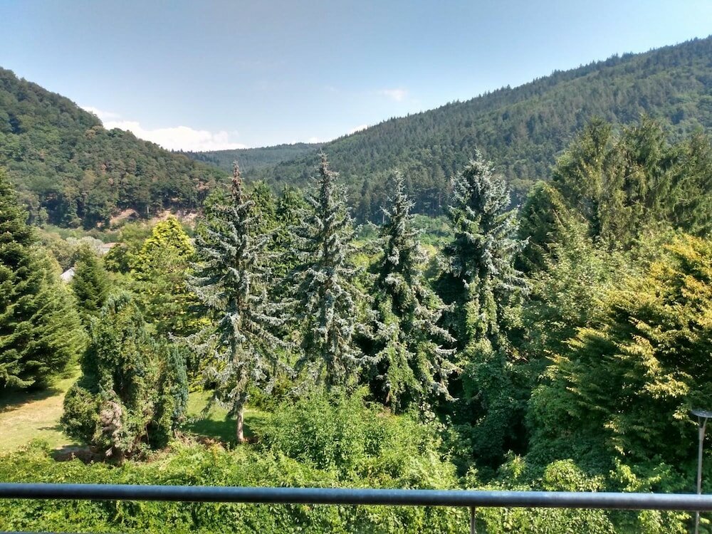 Фото Hotel Neckartal