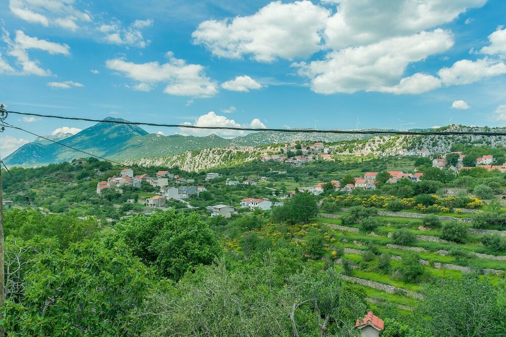 Фото House Cattleya