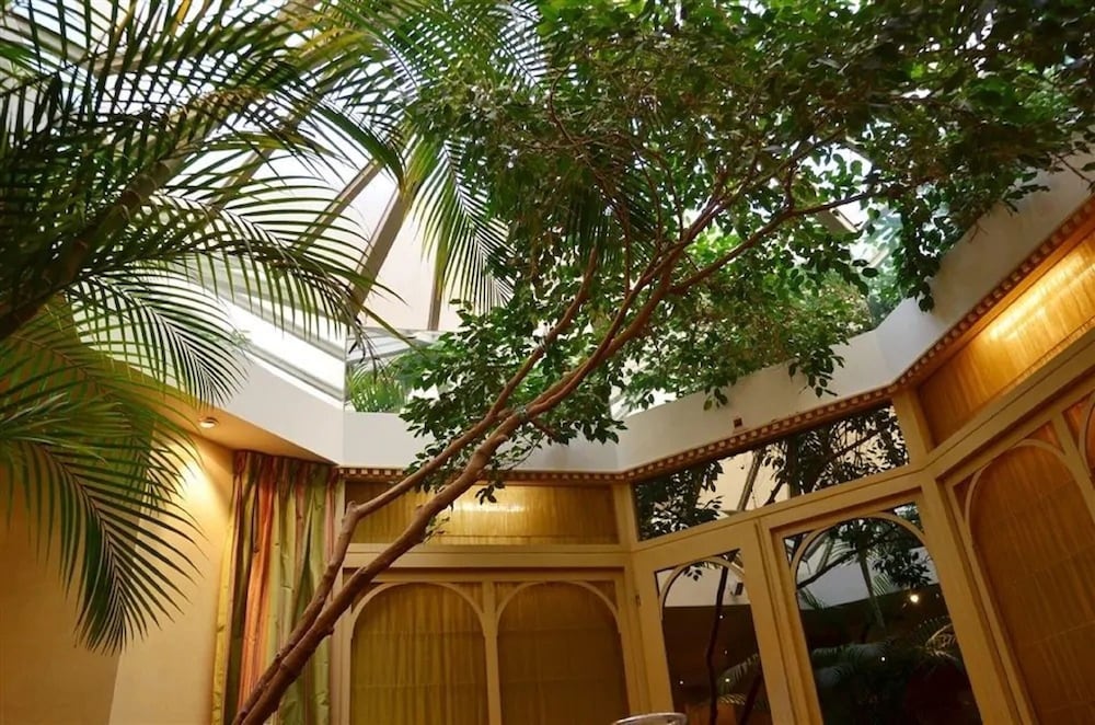 Фото 51317934571