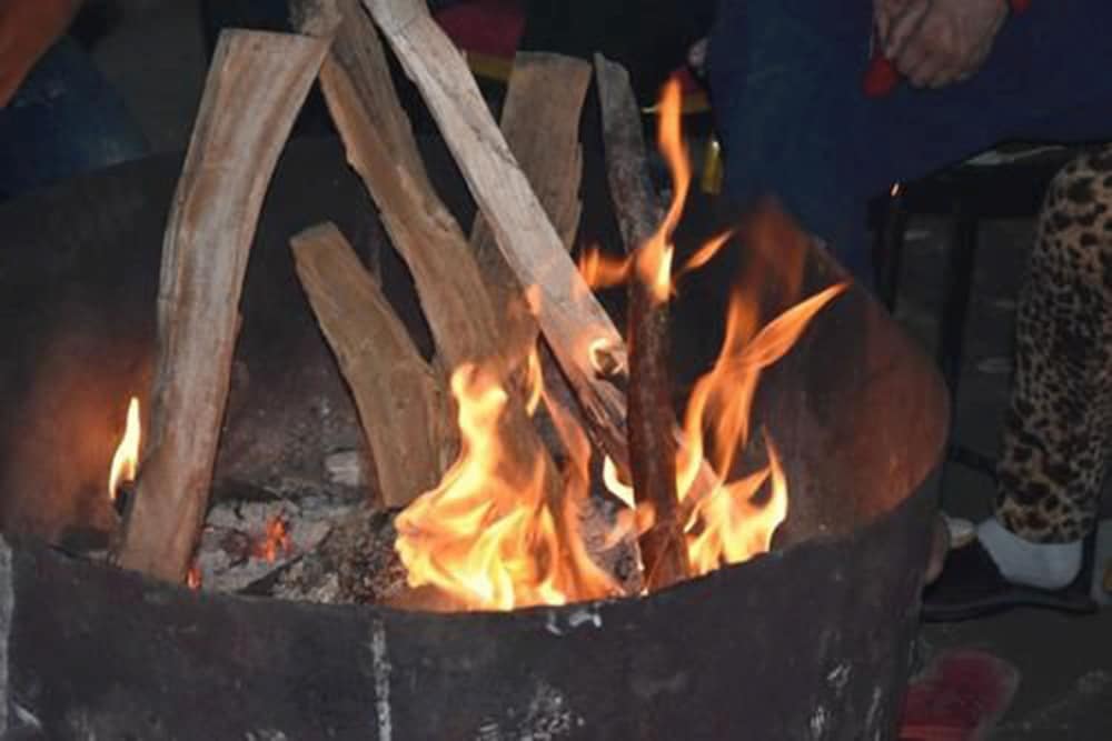 Фото Festoon Hotel