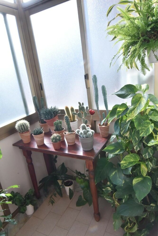 Фото Il Girasole Bed and Breakfast