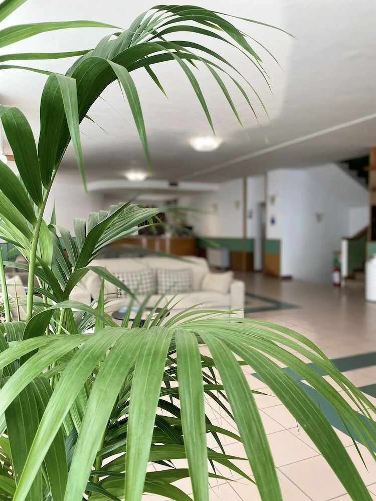 Фото Hotel Aiglon