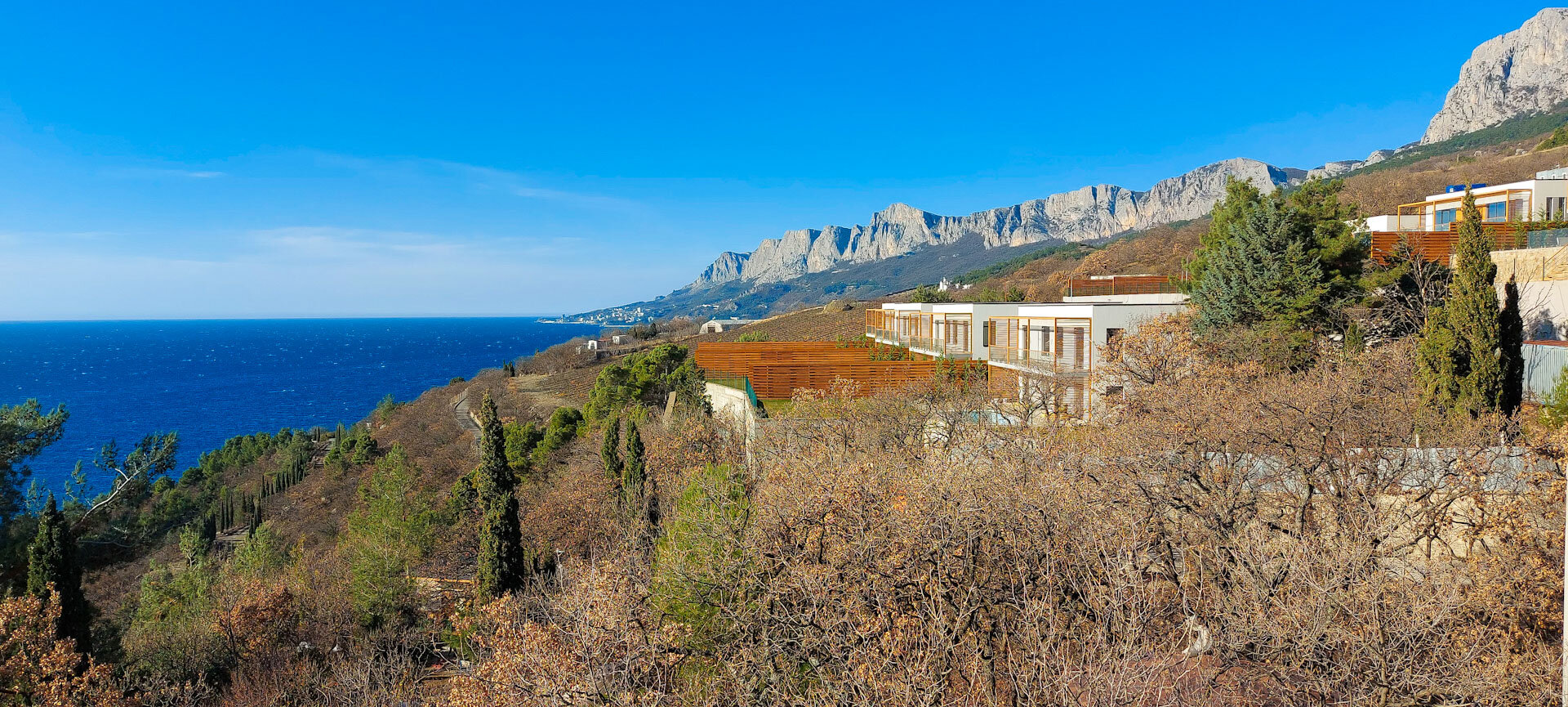 Фото Жуковка