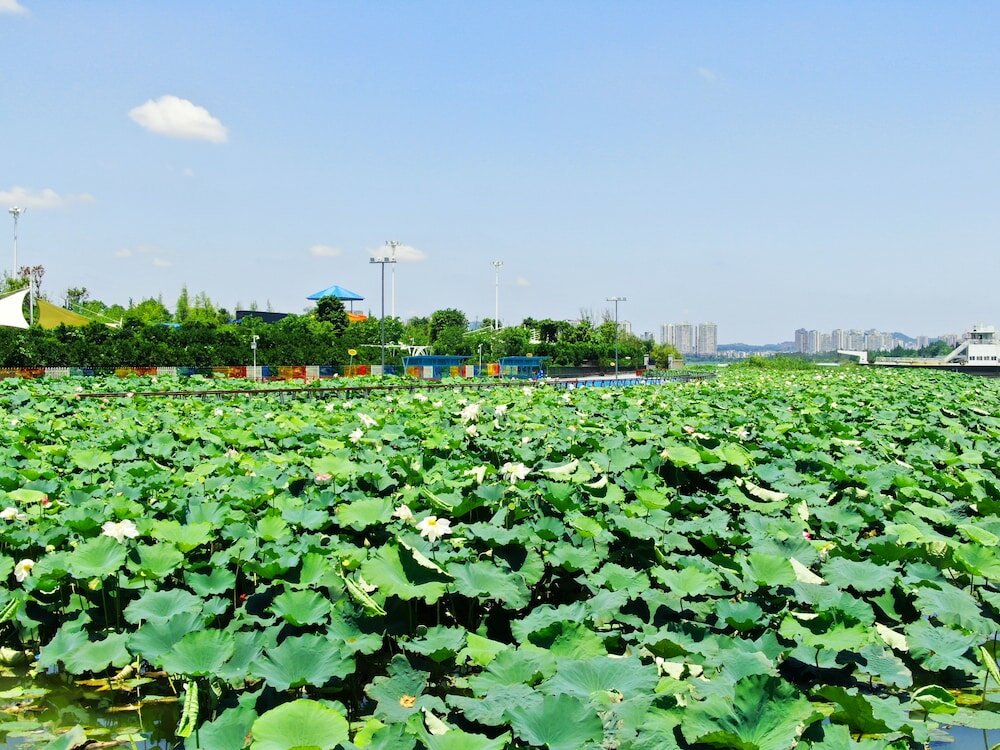 Фото Suining Marriott Hotel