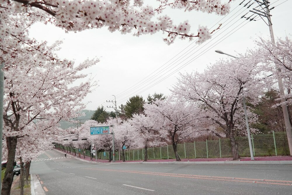 Фото Asia Lakeside Hotel