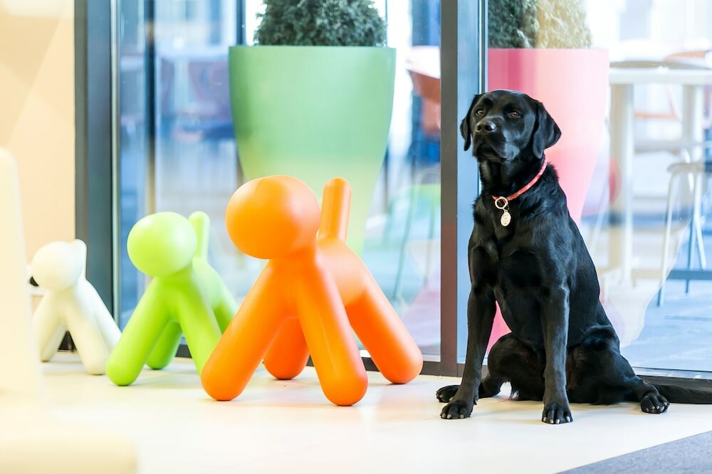 Фото Art Hotel Szeged