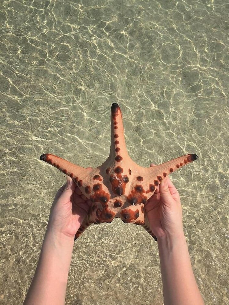 Фото Billiton Hotel & Klub