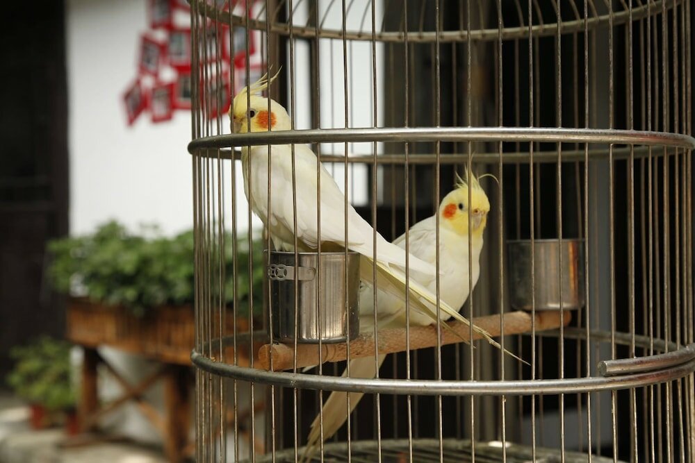 Фото China Old Story Inns Dali Ancient Town