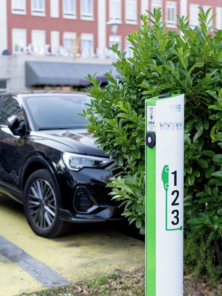 Фото 120145494130