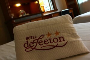 Гостиница Hotel DeLeeton