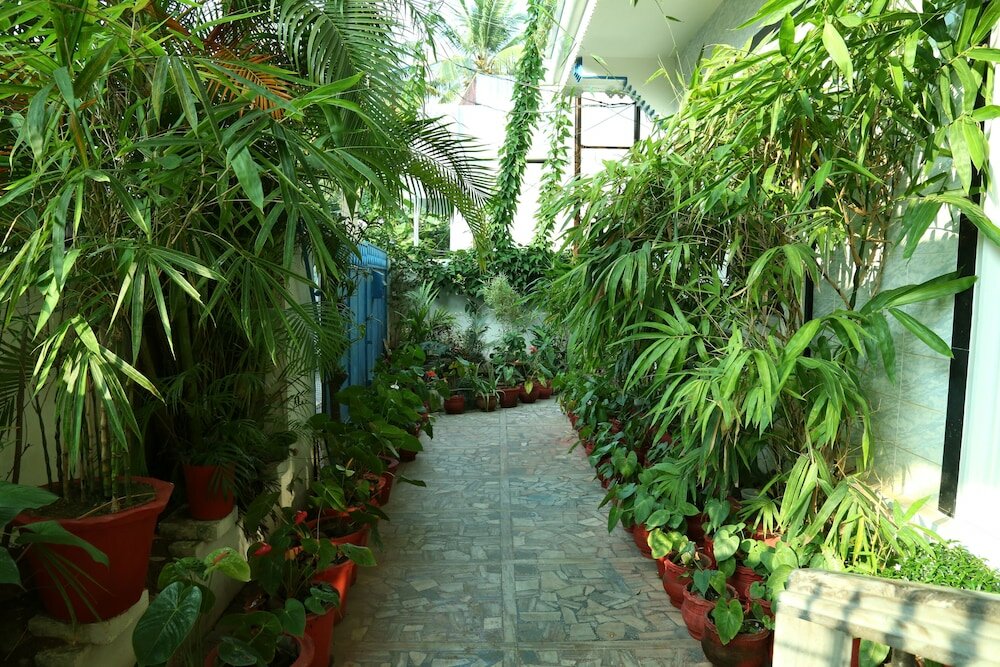 Фото Dream Catcher Home Stay