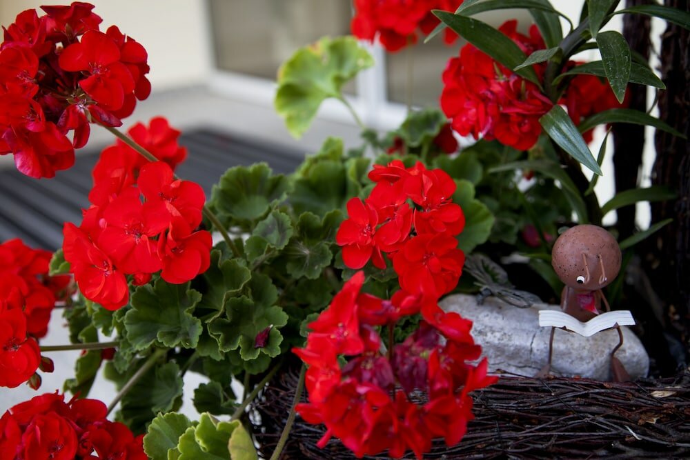 Фото Hotel Gasthof zur Windmühle