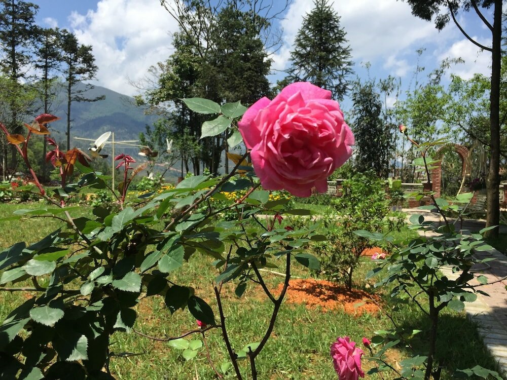 Фото Гостевой Дом Sapa Garden