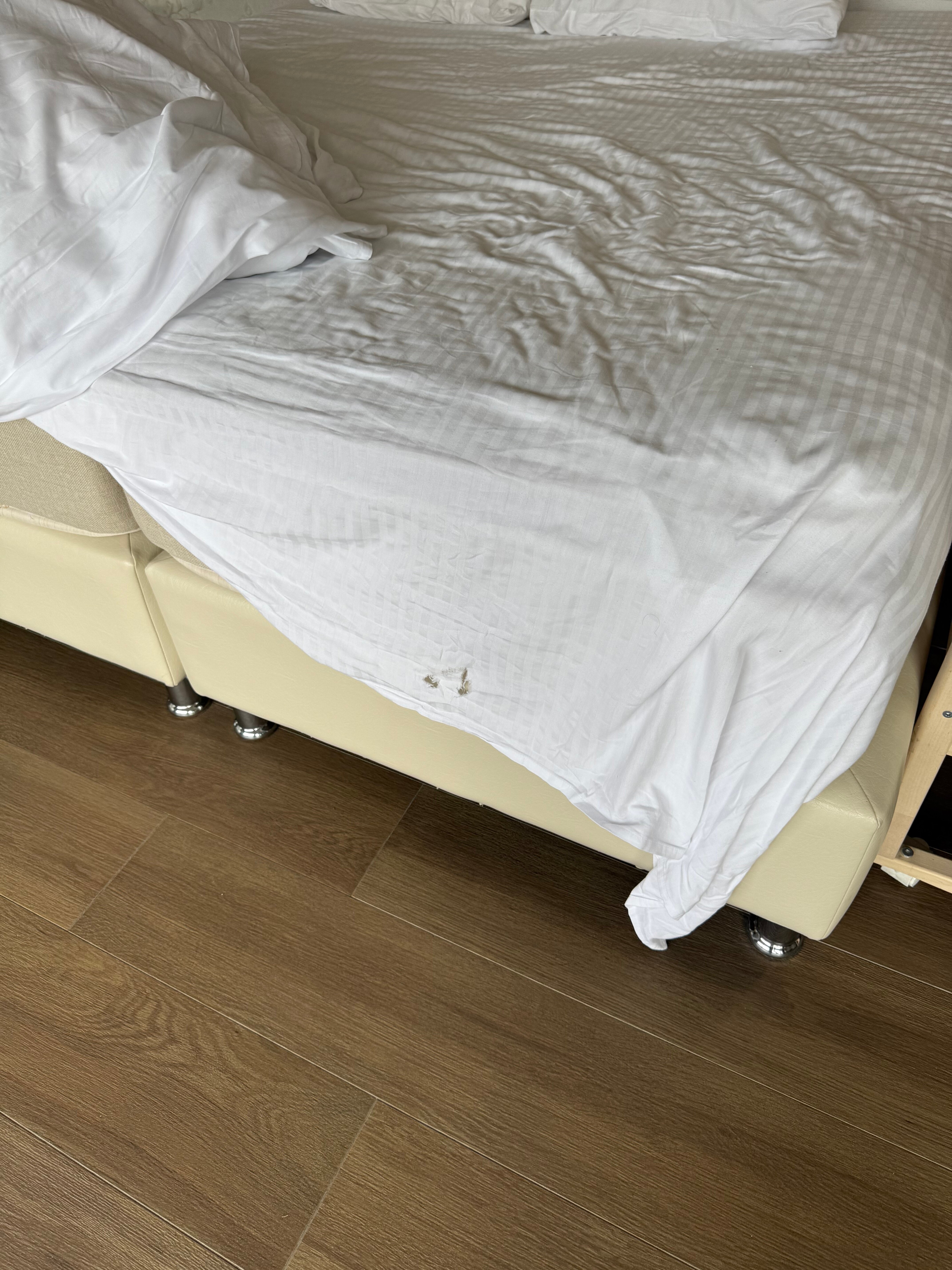 Фото Hotel Passport Tbilisi