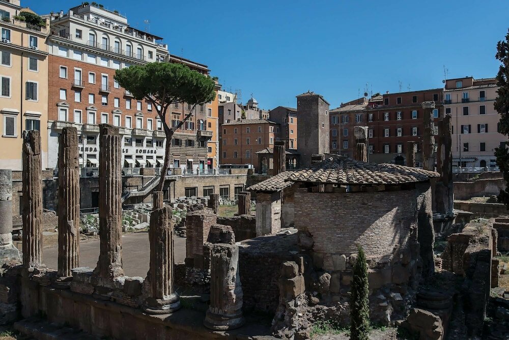 Фото Superior Relais