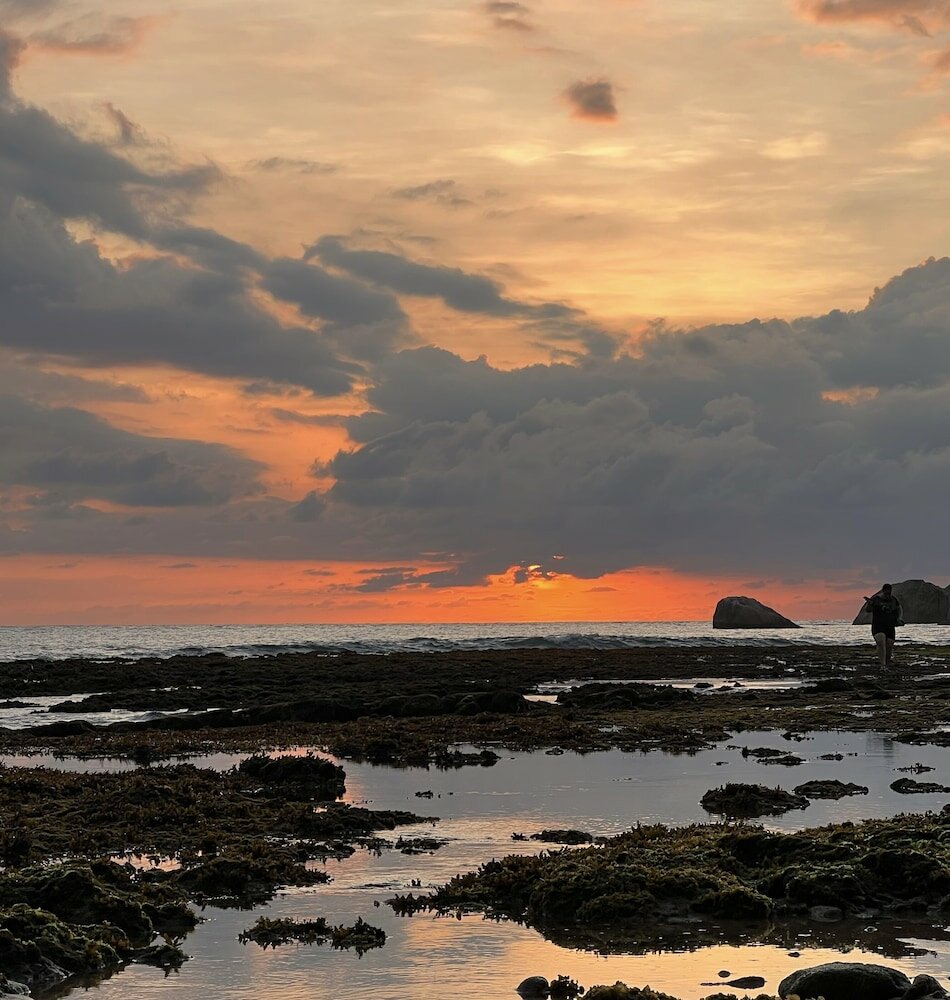 Фото Curry Bowl Restaurant & Turtles Rest