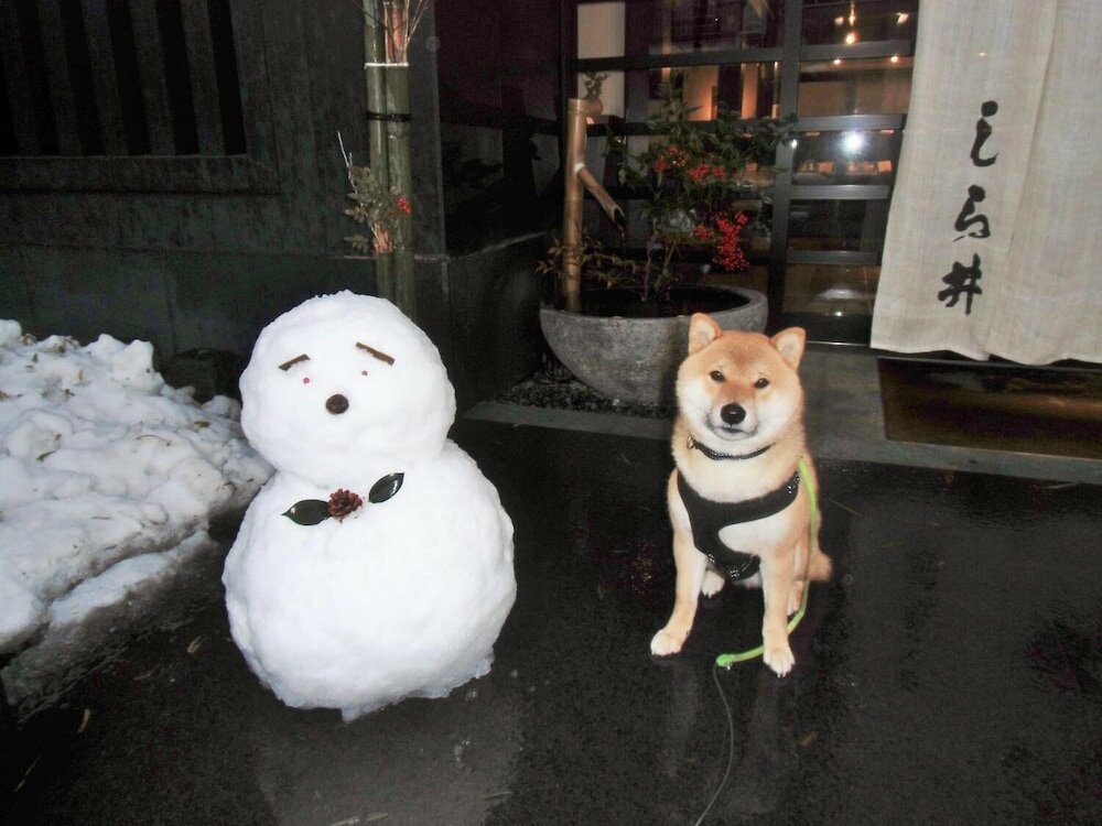 Фото Kanazawa Share House GAOoo