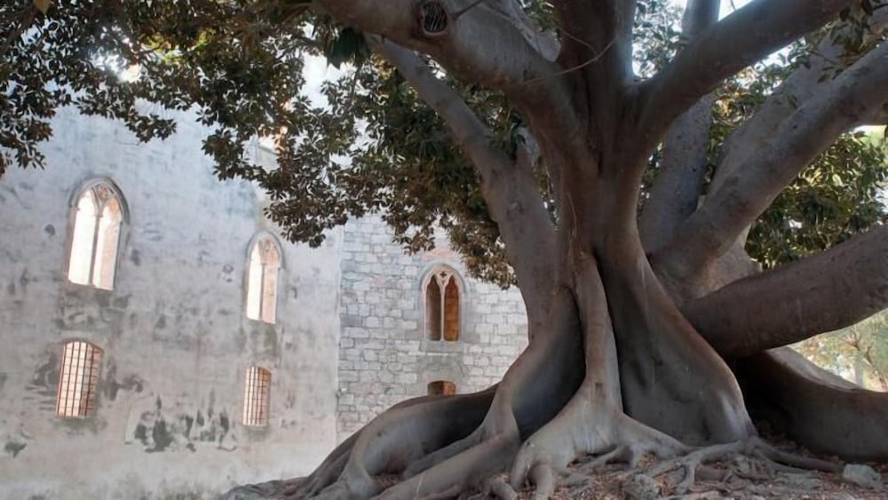 Фото Villa Boscarino