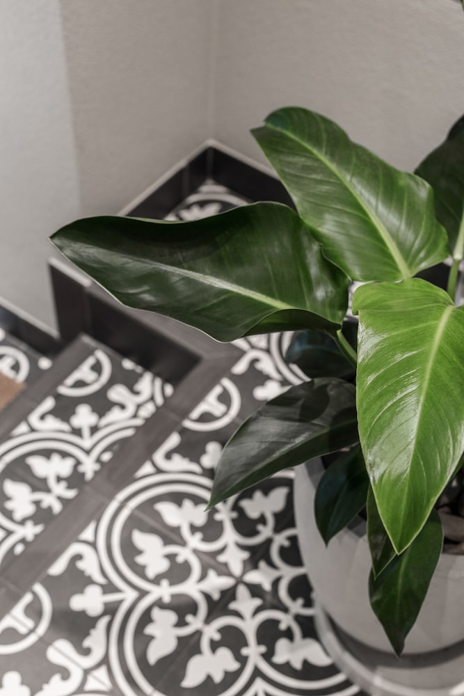 Фото The Jensen Potts Point