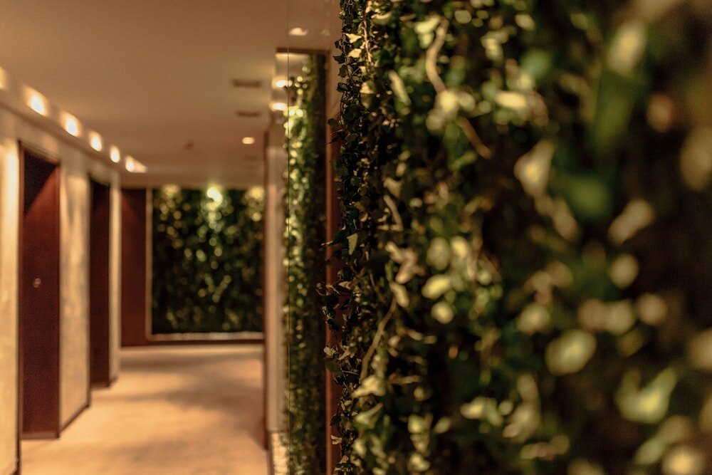 Фото Графит