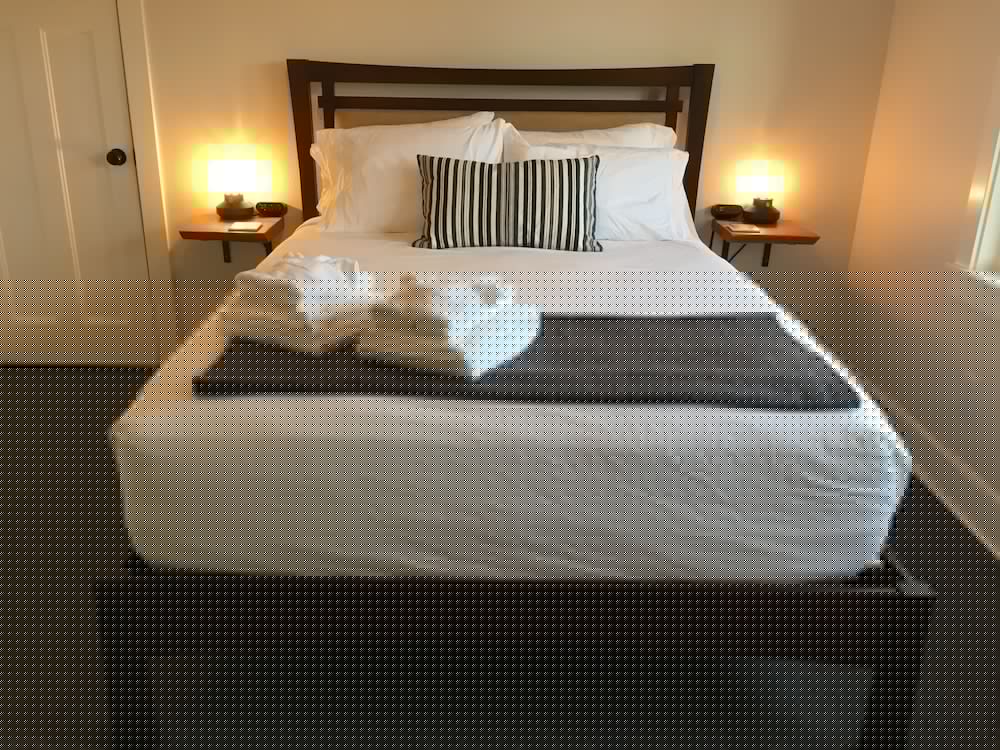 Фото The Alberta Petite Hotel