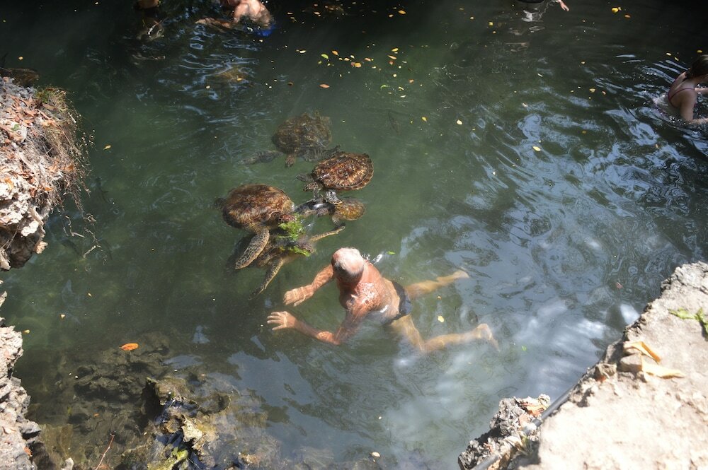 Фото Zanzibar Dream Lodge