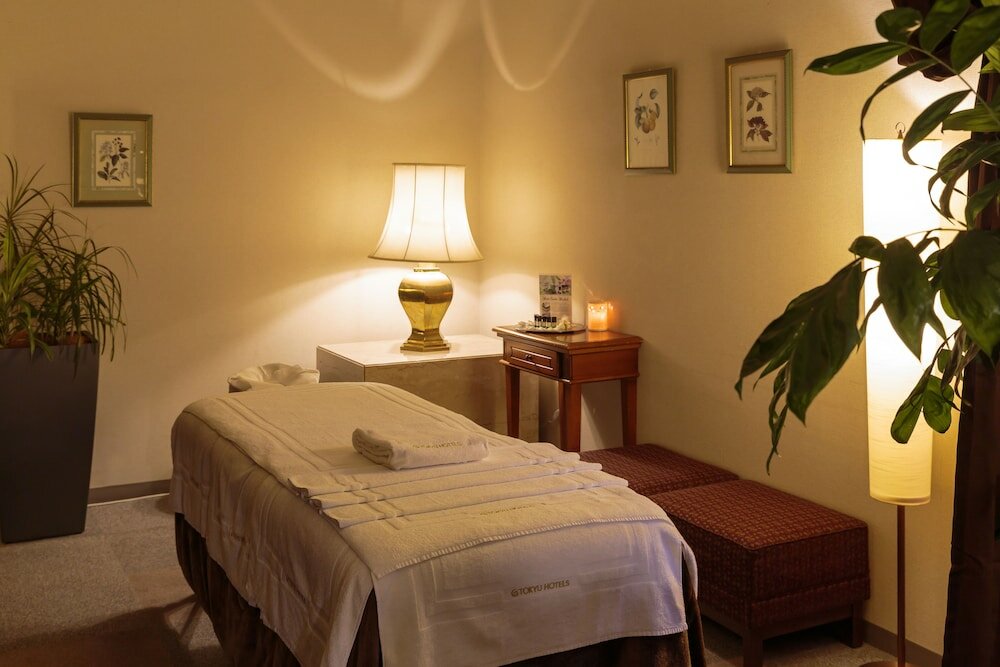 Фото Hakuba Tokyu Hotel