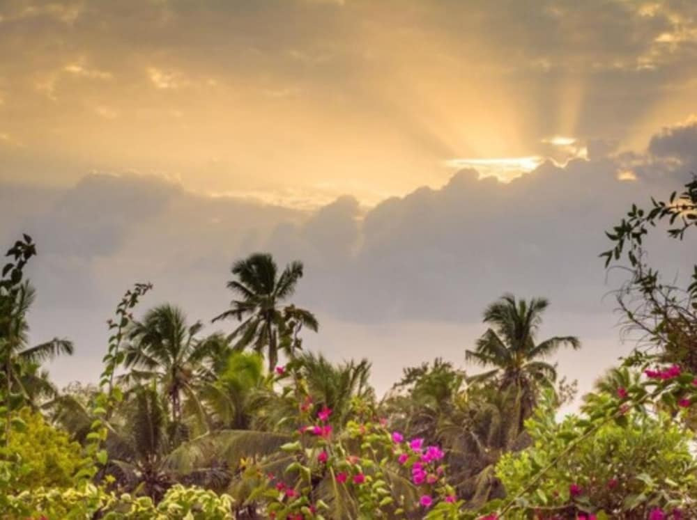 Фото Zan View Hotel