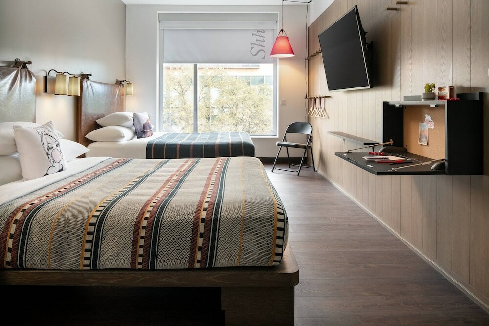 Фото Moxy Austin - University