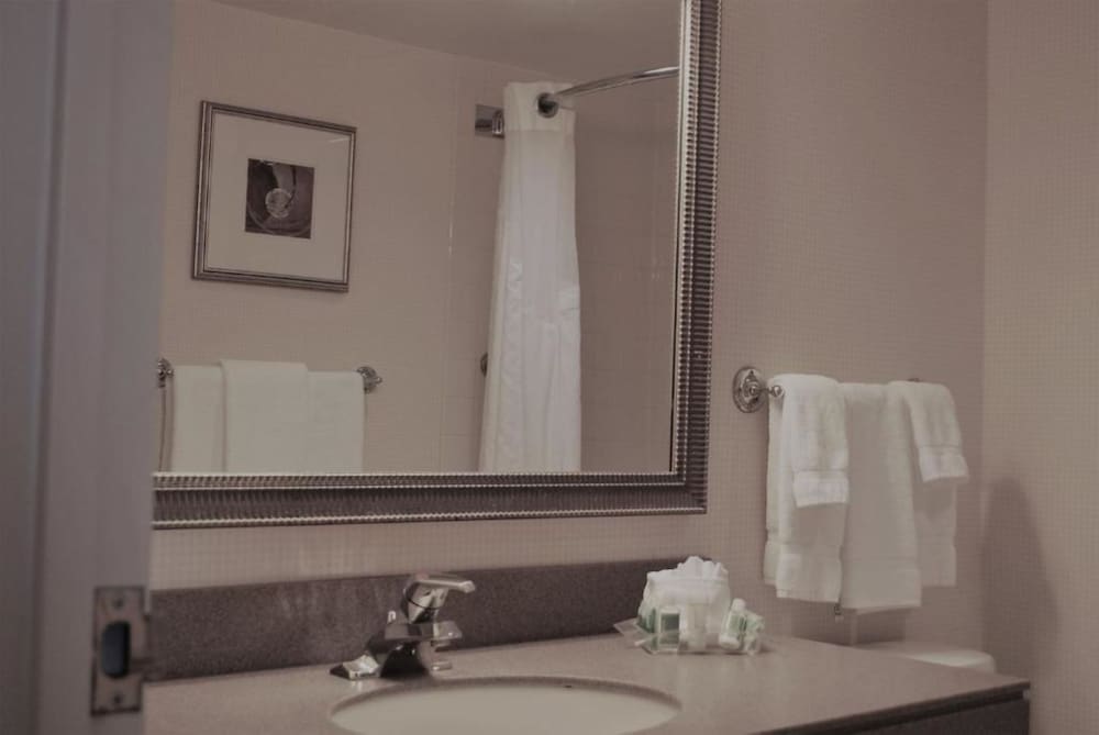 Фото Holiday Inn Laval Montreal