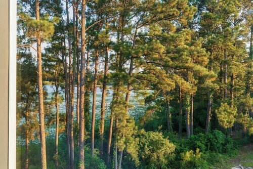 Внешний вид отеля Fairfield Inn by Marriott Savannah Airport в Саванне, фото 5