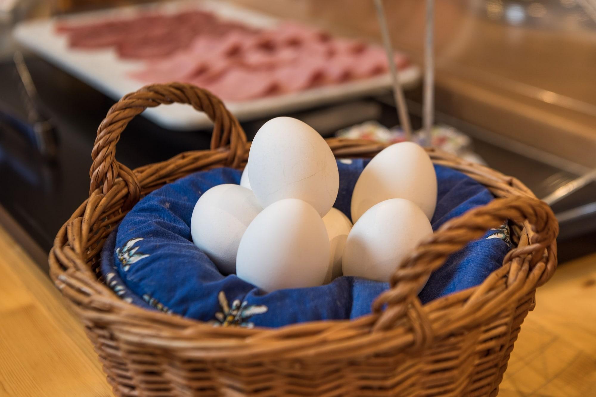 Фото Hotel Rhodania