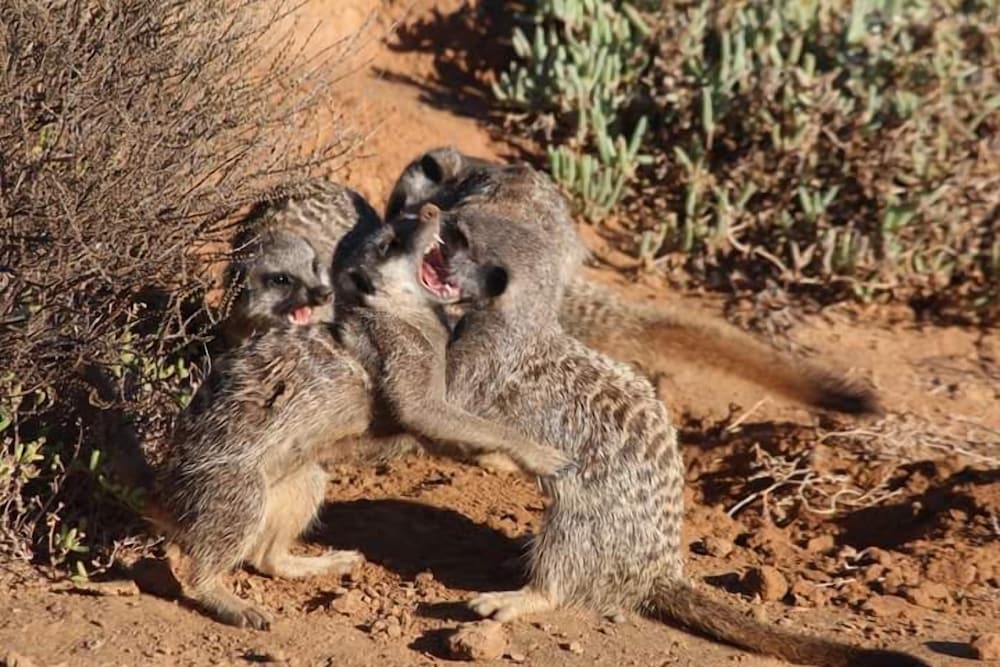 Фото De Akker Guest House