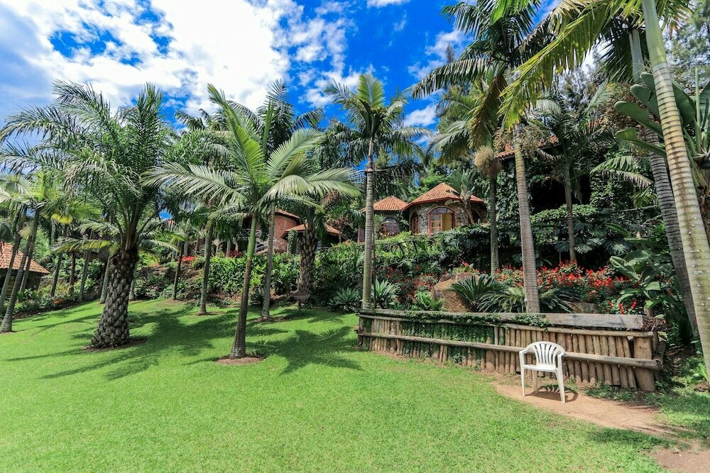 Hotel The Palm Beach Resort, Earth, photo