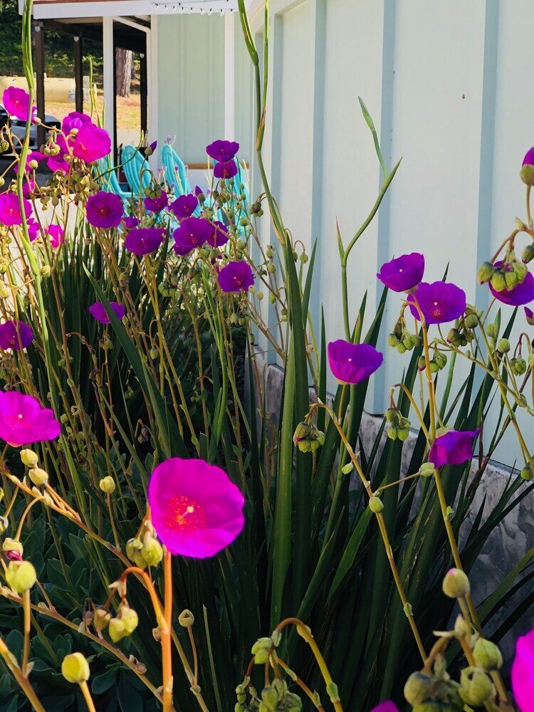 Фото Seafoam Lodge