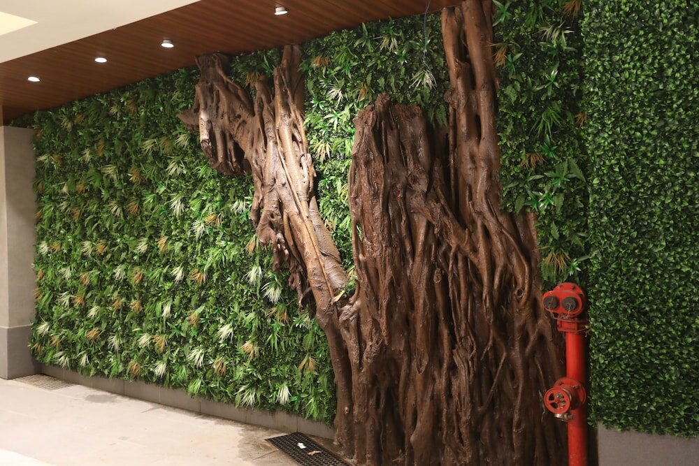 Фото Hotel Cliffton