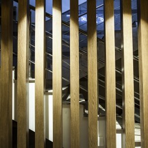 Фото Renion Park