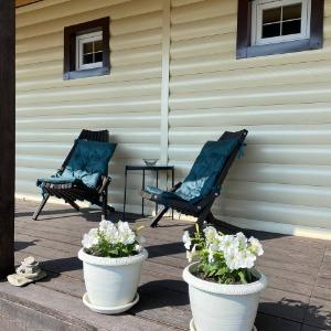 Фото Конкордия