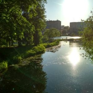 Фото Династия Лефортово