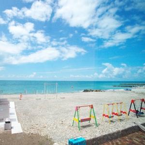 Фото Дружба