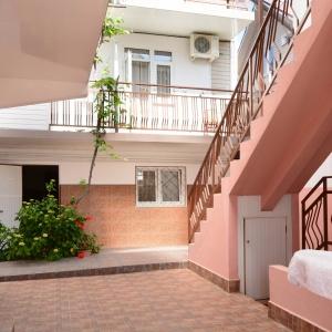 Фото Звёздочка