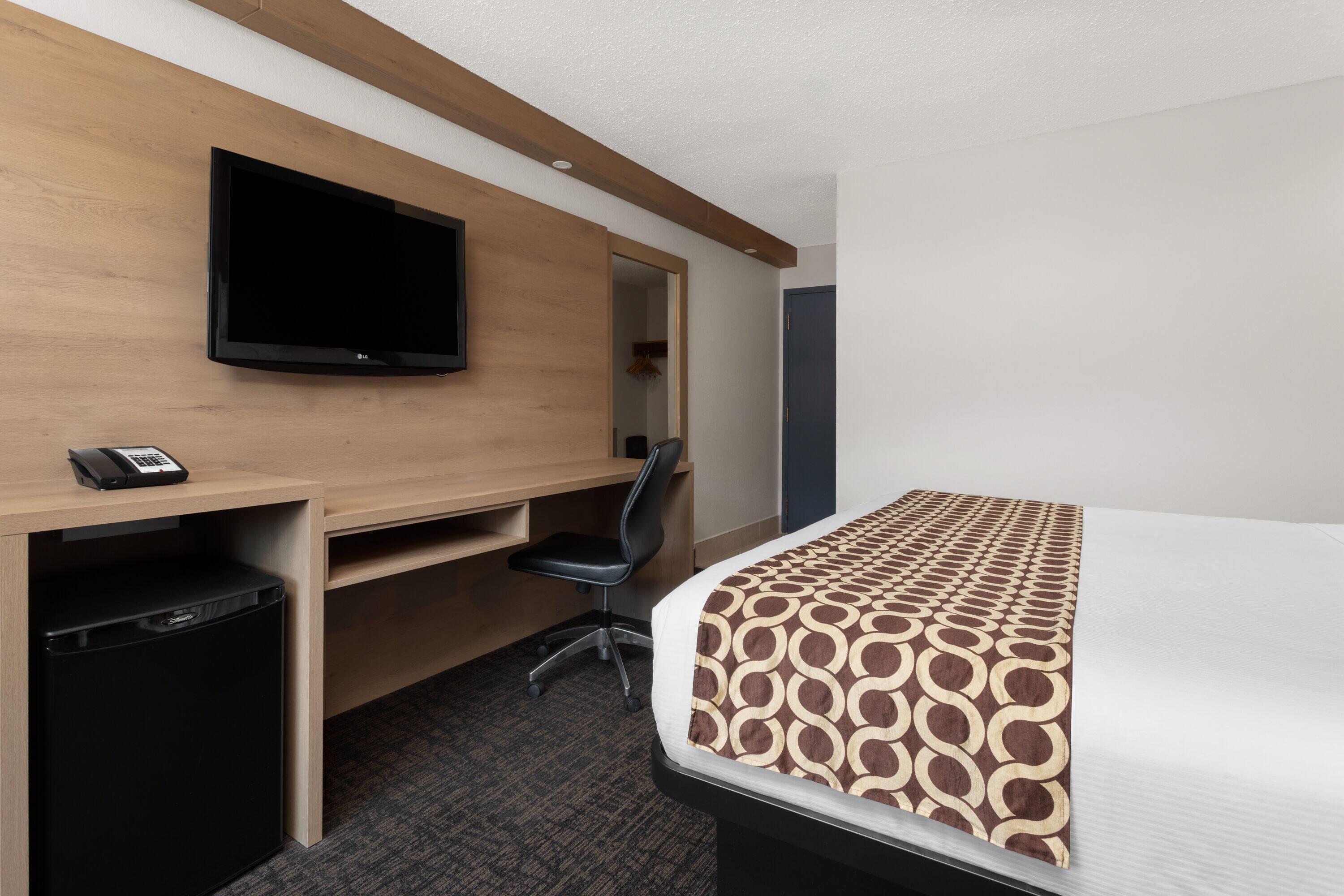 Фото 241553819836