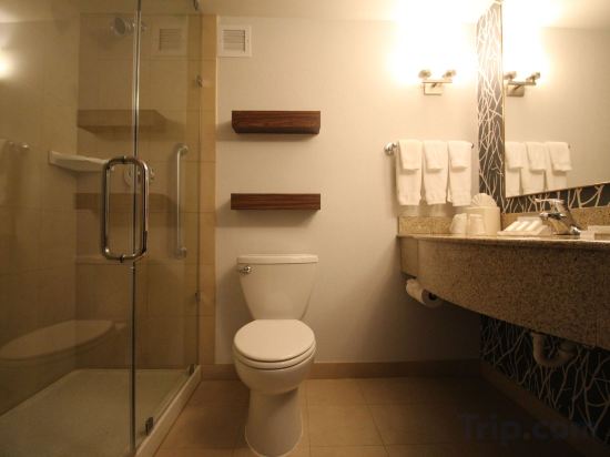 Фото Hilton Garden Inn Schaumburg