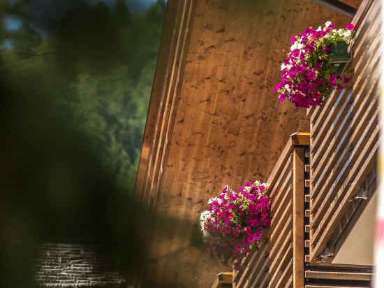 Фото Hotel Lac Salin SPA & Mountain Resort